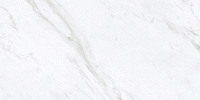 AWP20 اسلب پرسلانی (240×120)