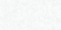 AWP10 اسلب پرسلانی (240×120)